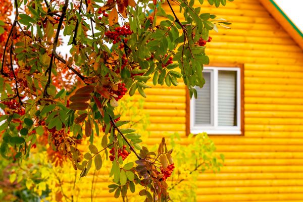 Cost of Garden Window Replacement in Garland